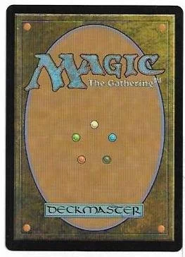 cloudfin raptor.2.jpg