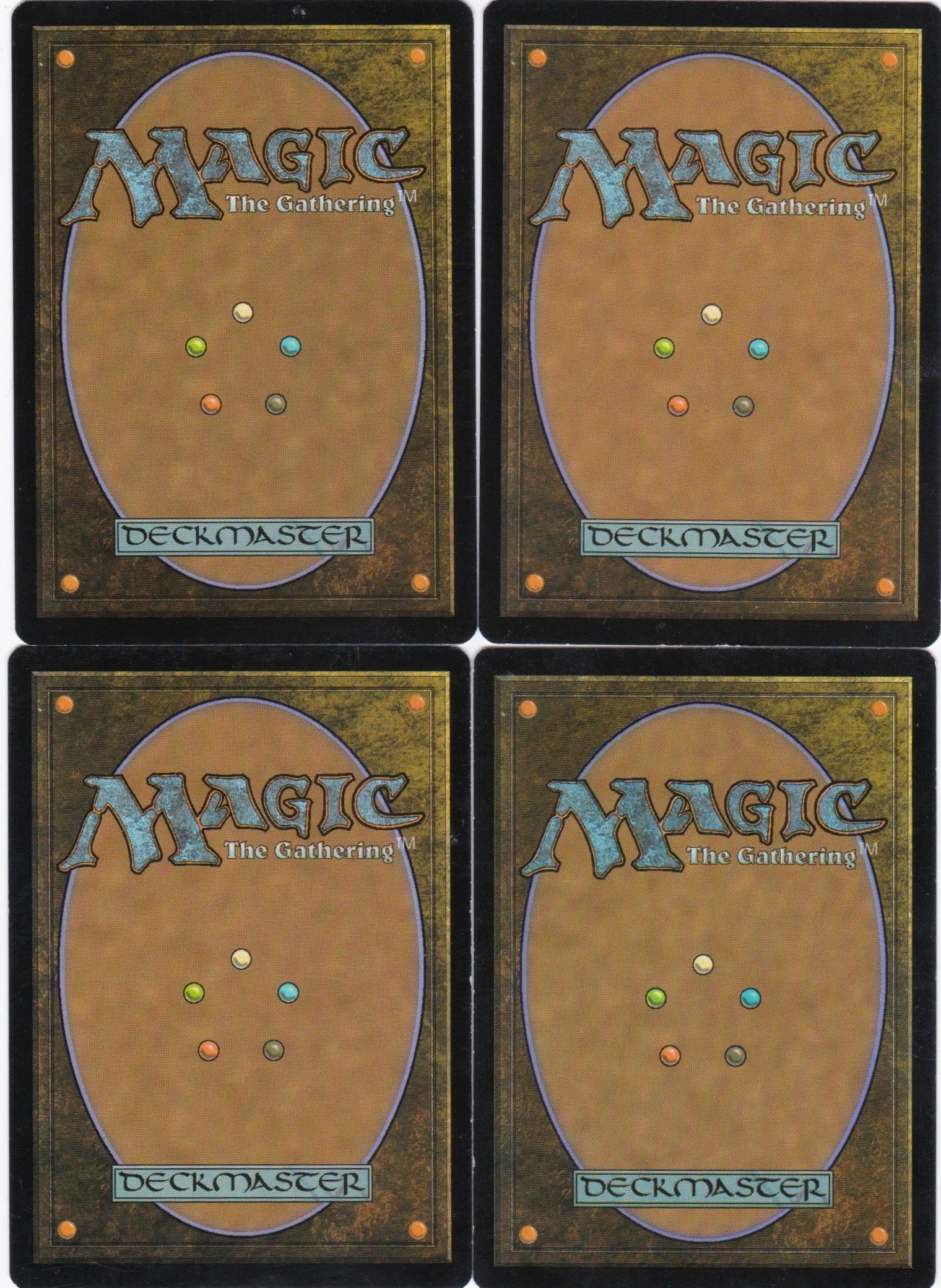 crowned ceratok b.jpg