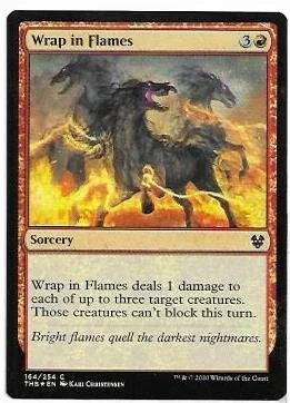 wrap in flames.1.jpg