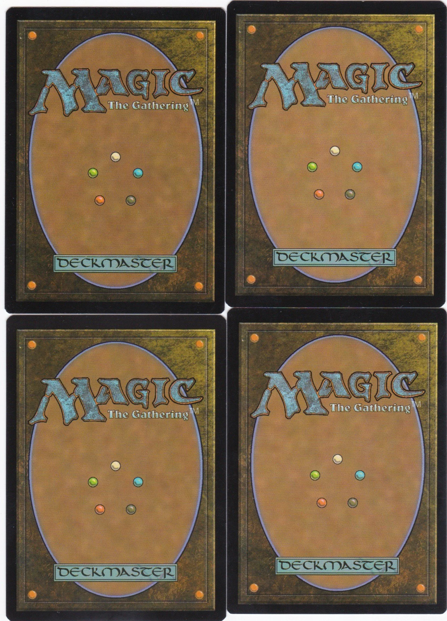 crocodile of the crossing b.jpg