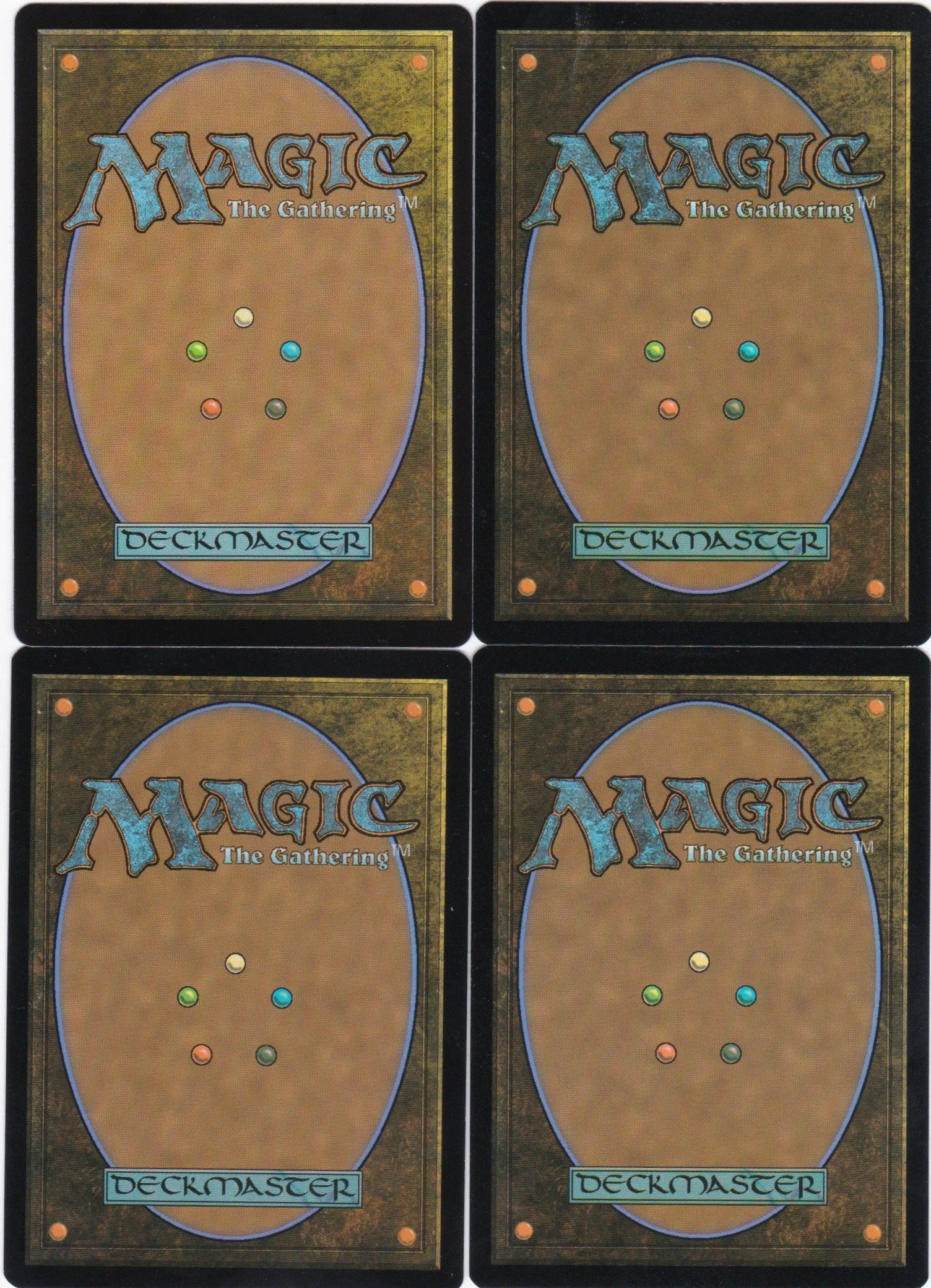 succumb to the cold b.jpg