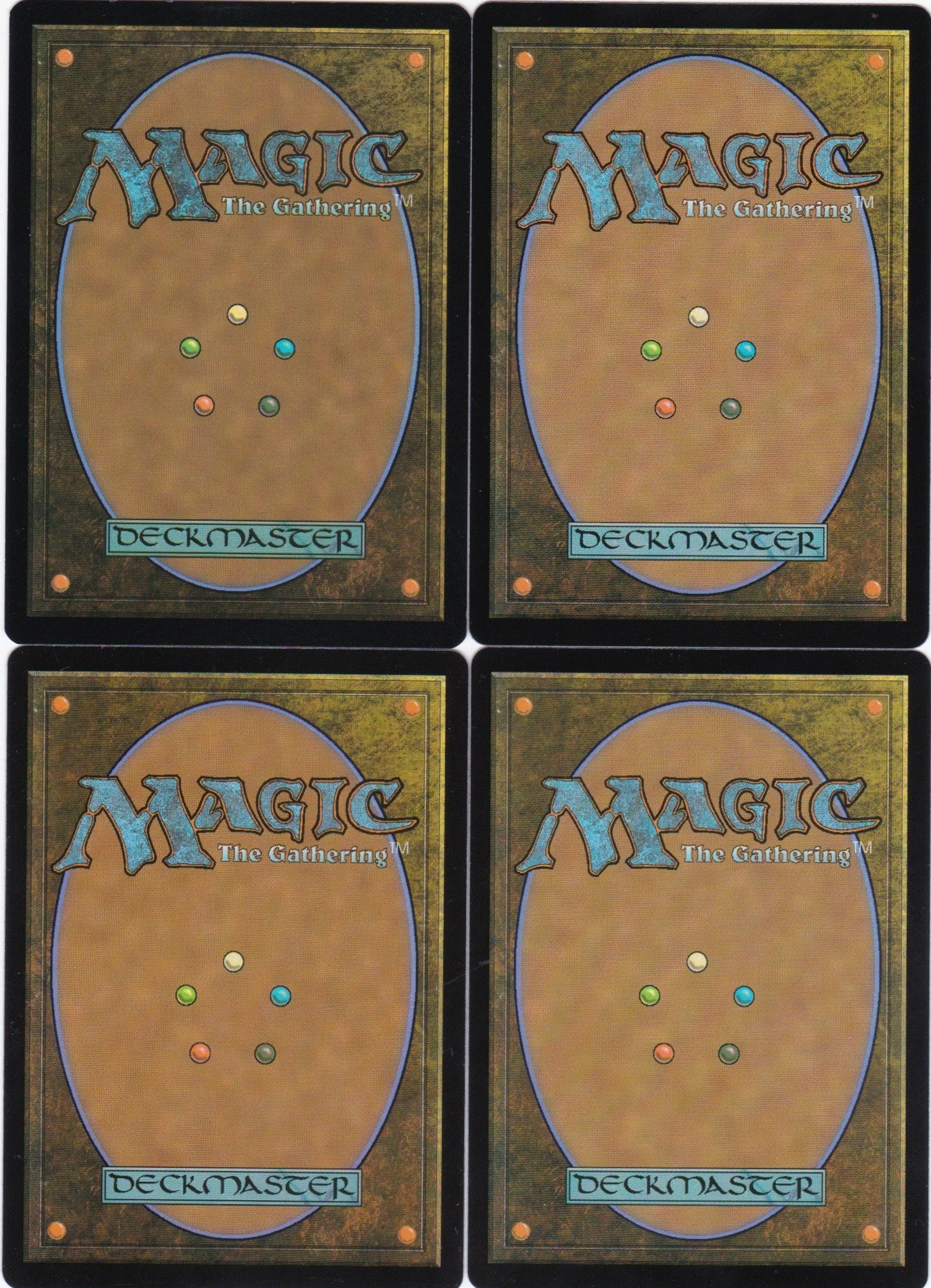 tattered Ratter b.jpg