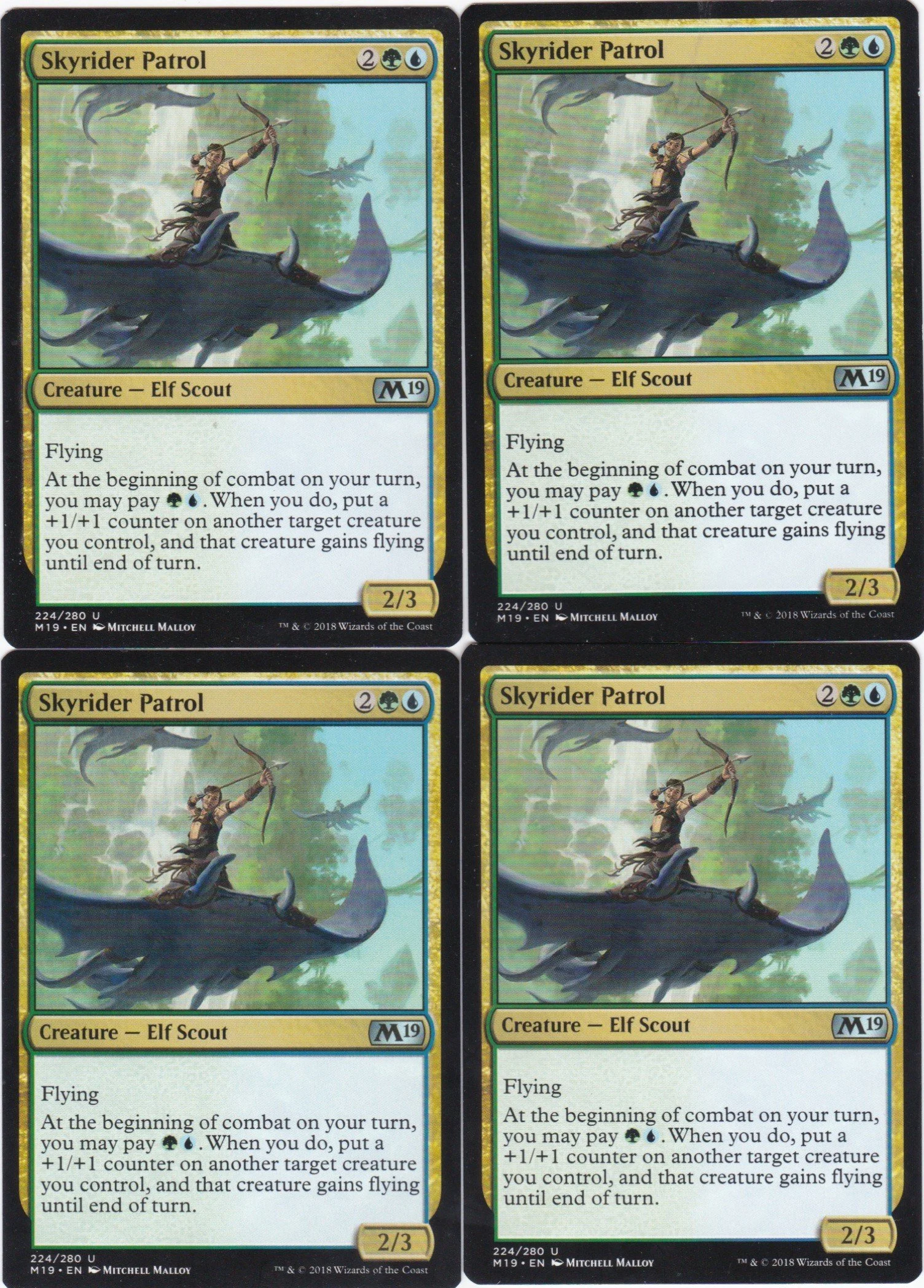 skyrider patrol a.jpg