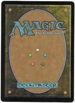 seize the Storm.2.jpg