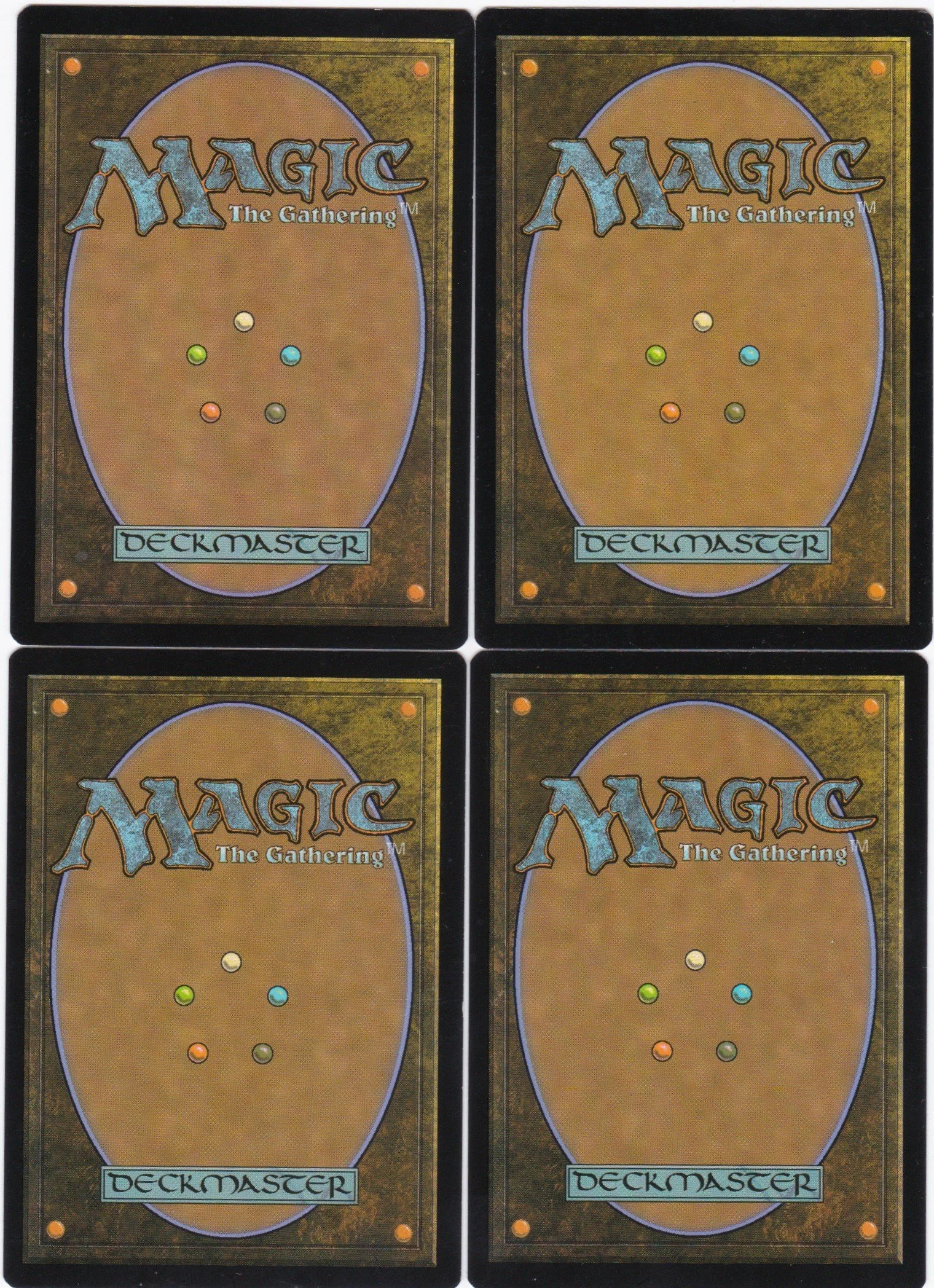 cherished hatchling b.jpg