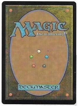 seeker of the way borderless.2.jpg
