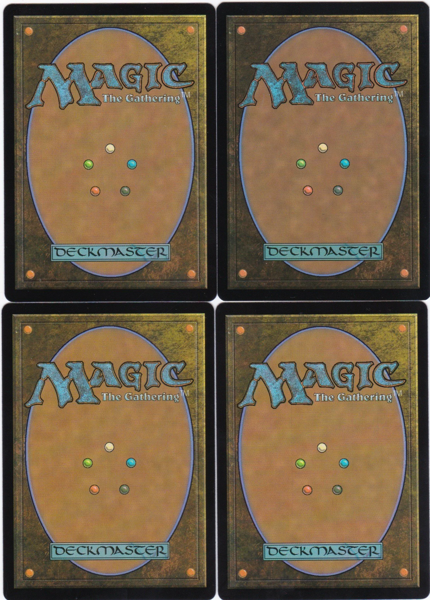 the hunger tide rises b.jpg