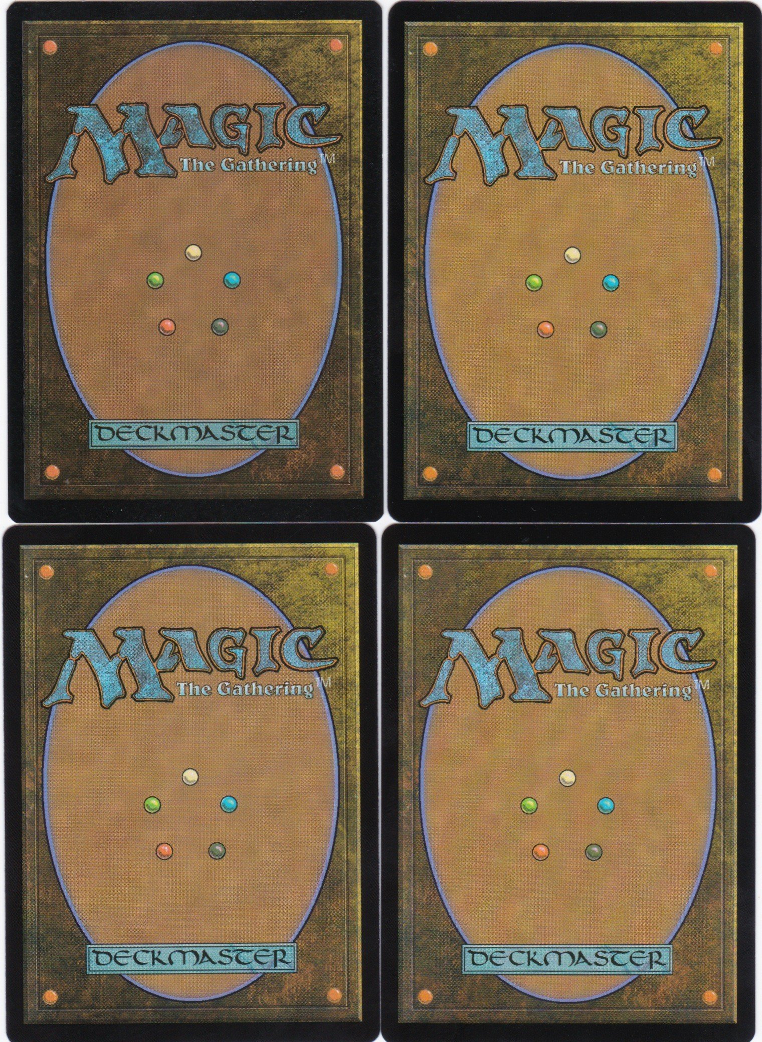 Golden-Tail Trainer b.jpg