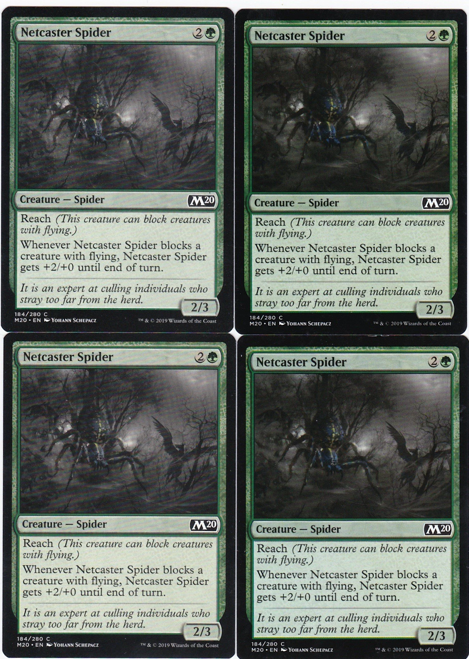 netcaster spider.jpg