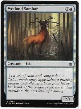 wetland sambar.1.jpg