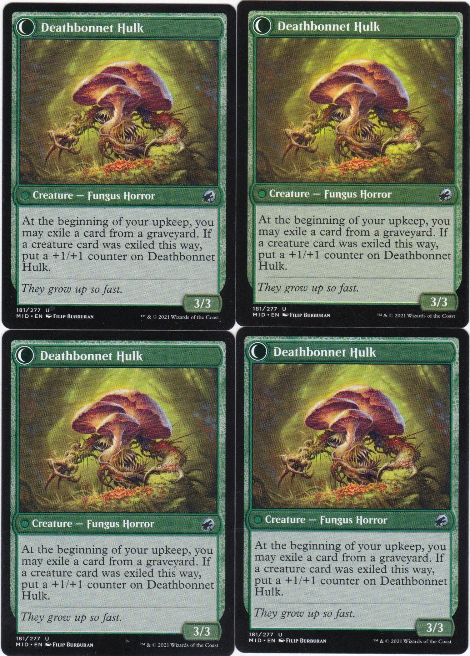 deathbonnet sprout b.jpg