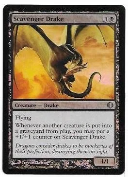 Scavenger Drake