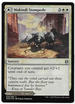 Makindi Stampede