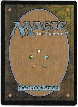 veteran ice climber.2.jpg