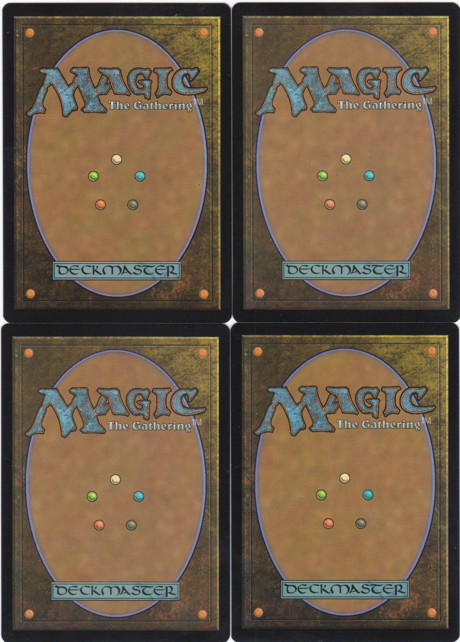 migratory route b.jpg