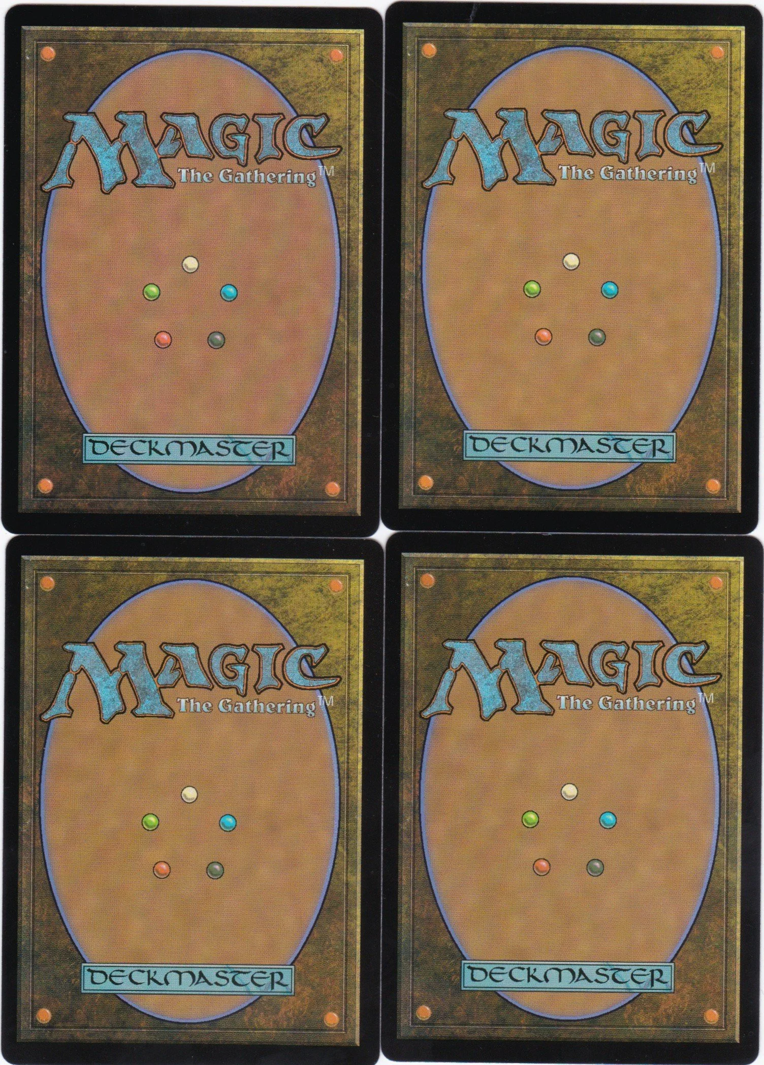 dutiful griffin b.jpg