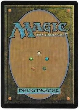 kishla shimmer.2.jpg