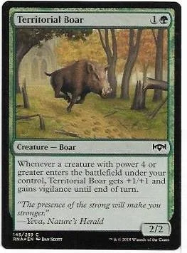 territorial boar.1.jpg