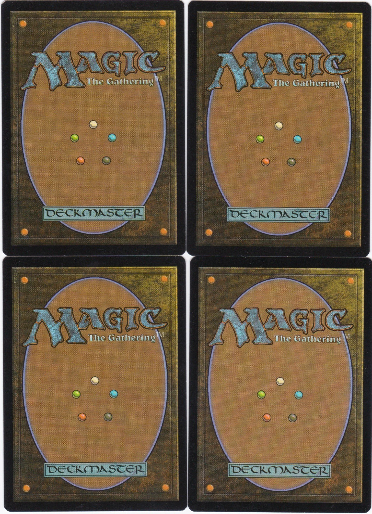 limits of solidarity b.jpg