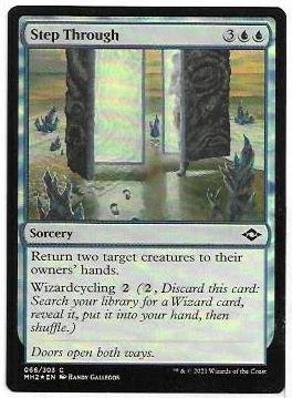 step through.1.jpg