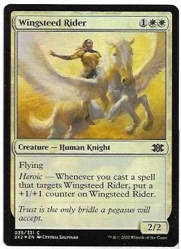 wingsteed rider.1.jpg
