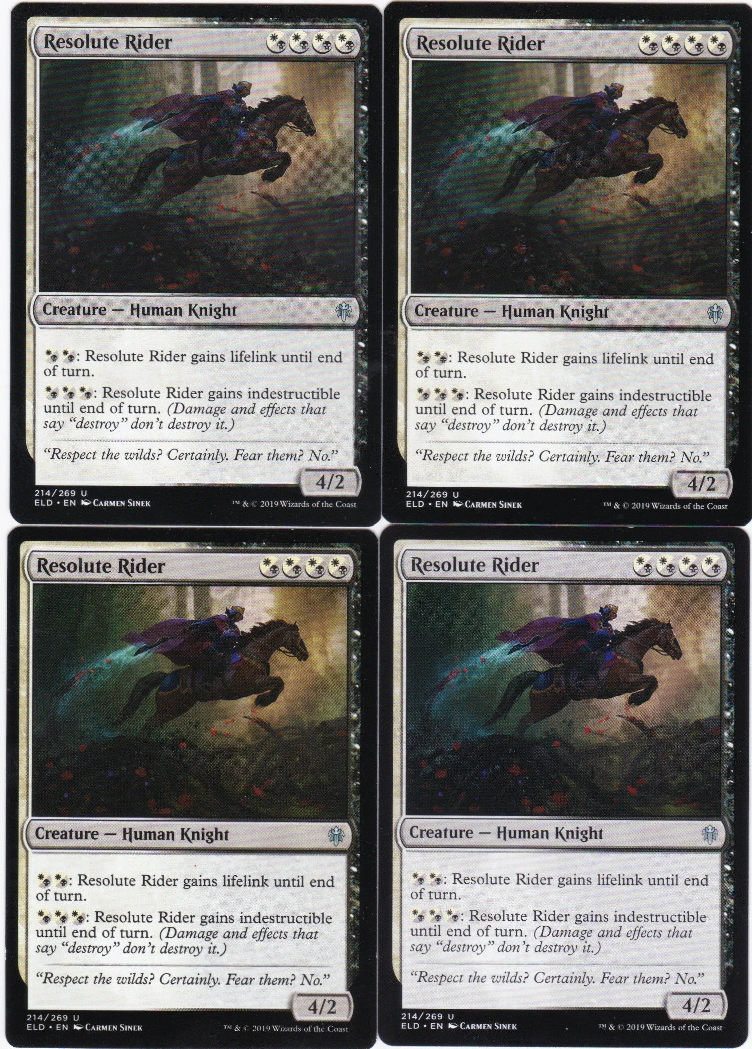 resolute rider a.jpg