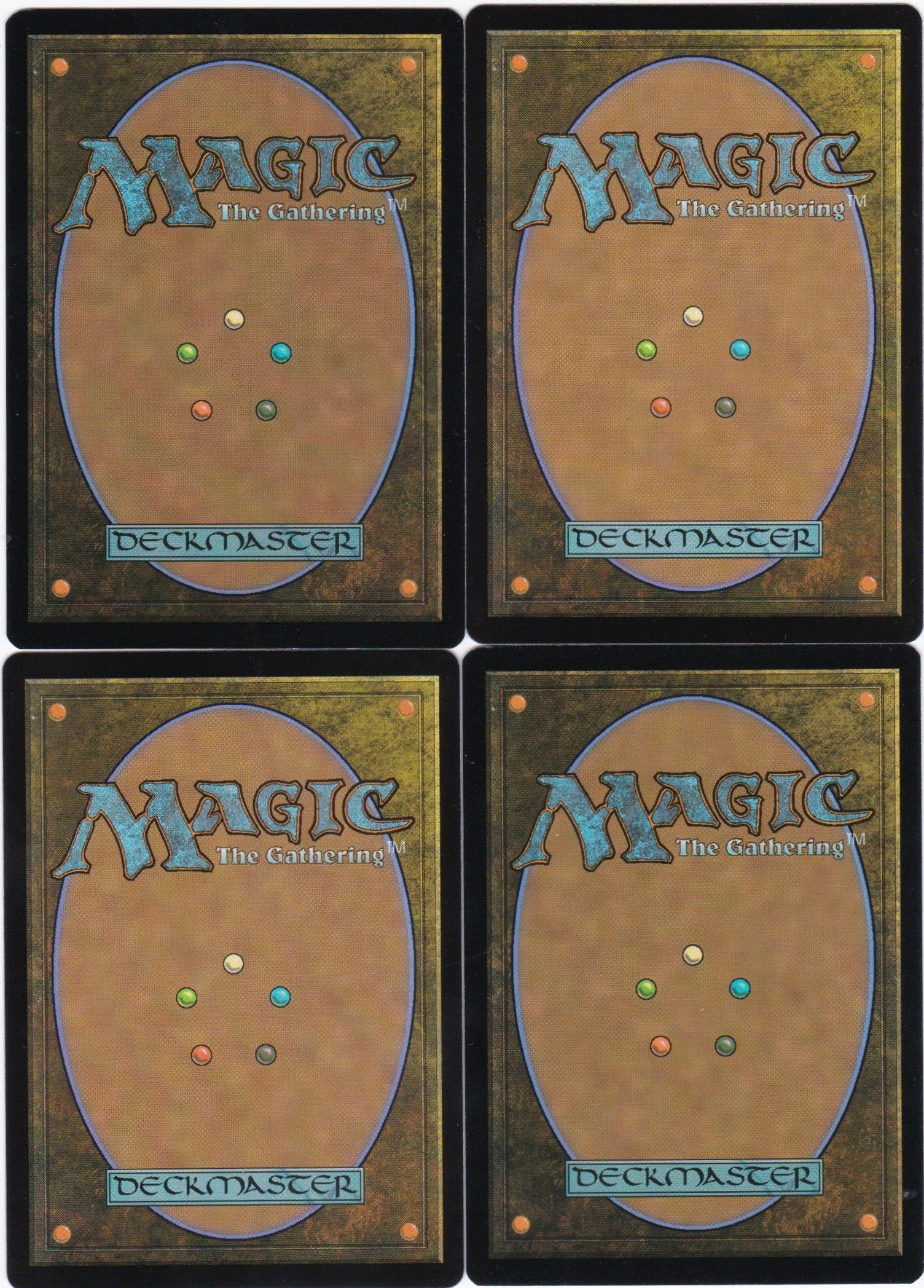 Shrouded Shepherd b.jpg