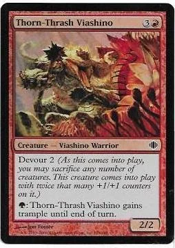 Thorn-Thrash Viashino