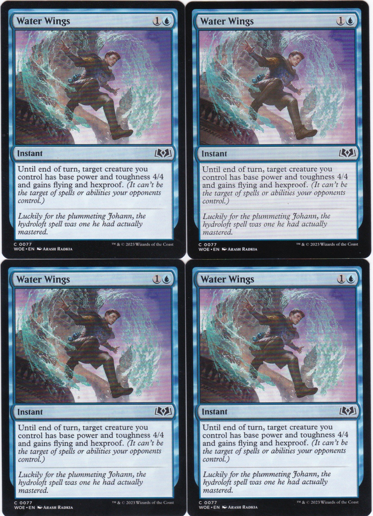 water wings.jpg