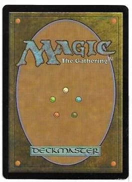 scavenger drake.2.jpg