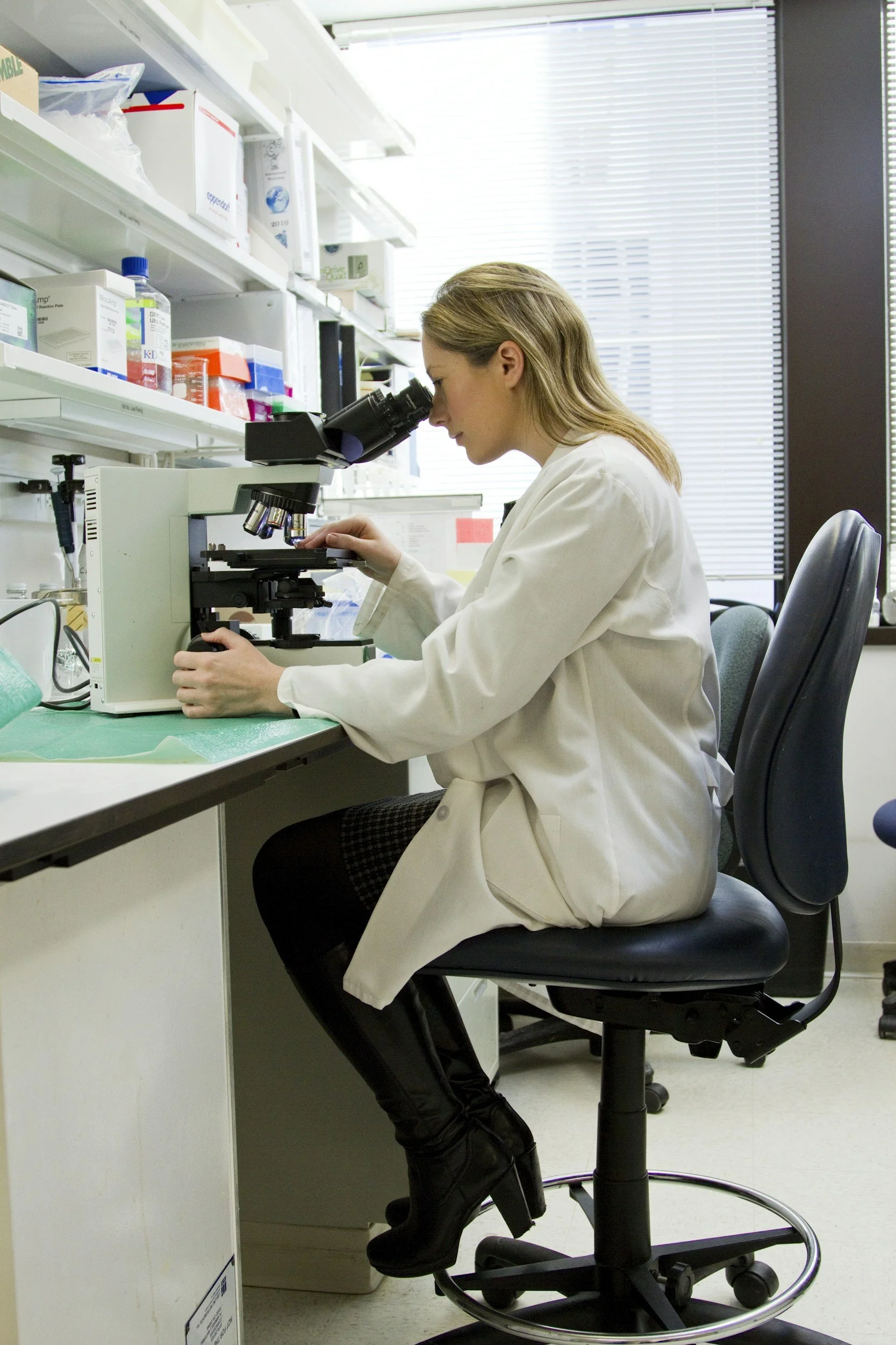 A female scientist in a white lab coat looking into a microscope in a laboratory with shelves of supplies and a window in the background.