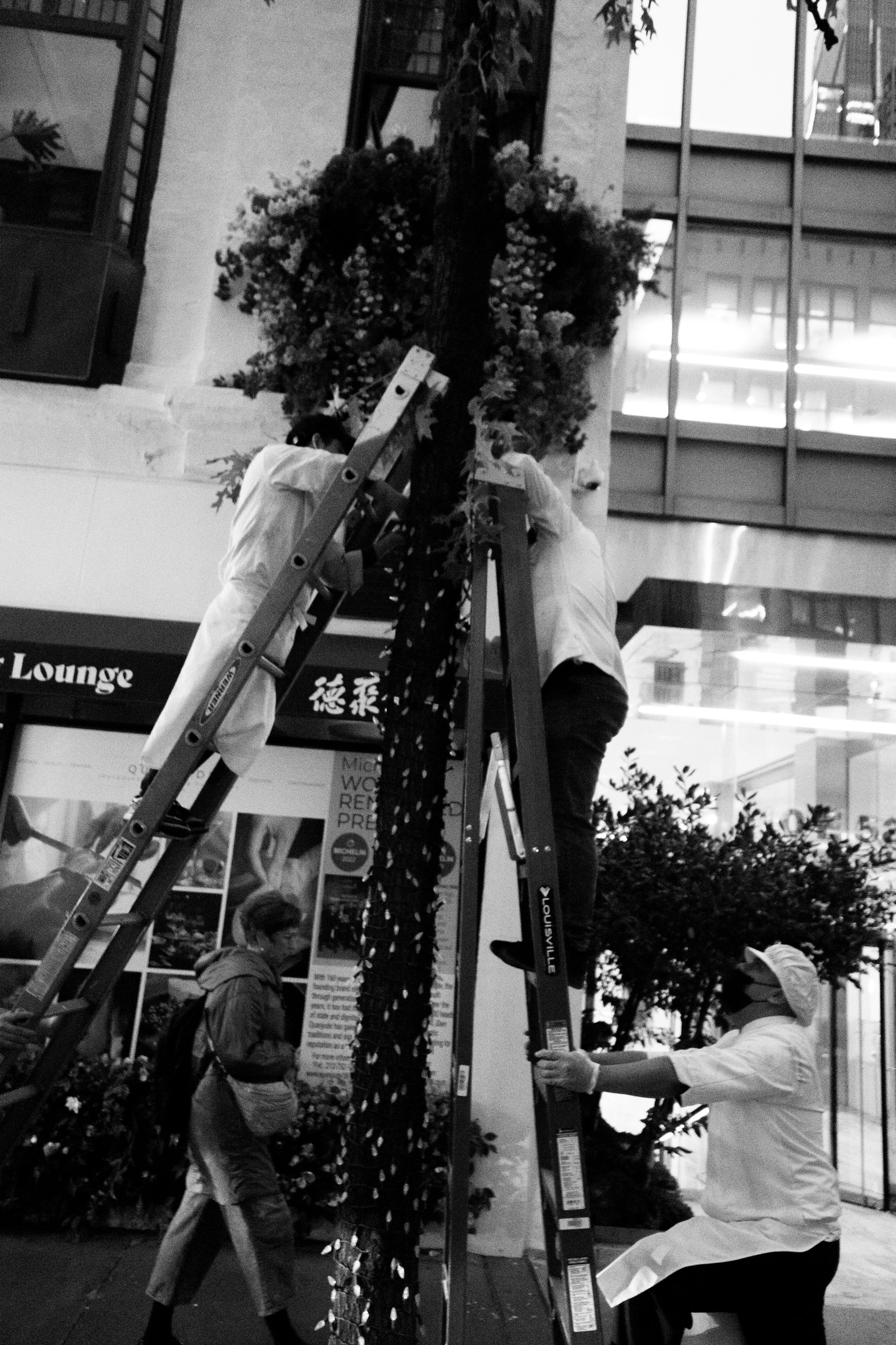 ladders-and-flowers1-bw.jpg