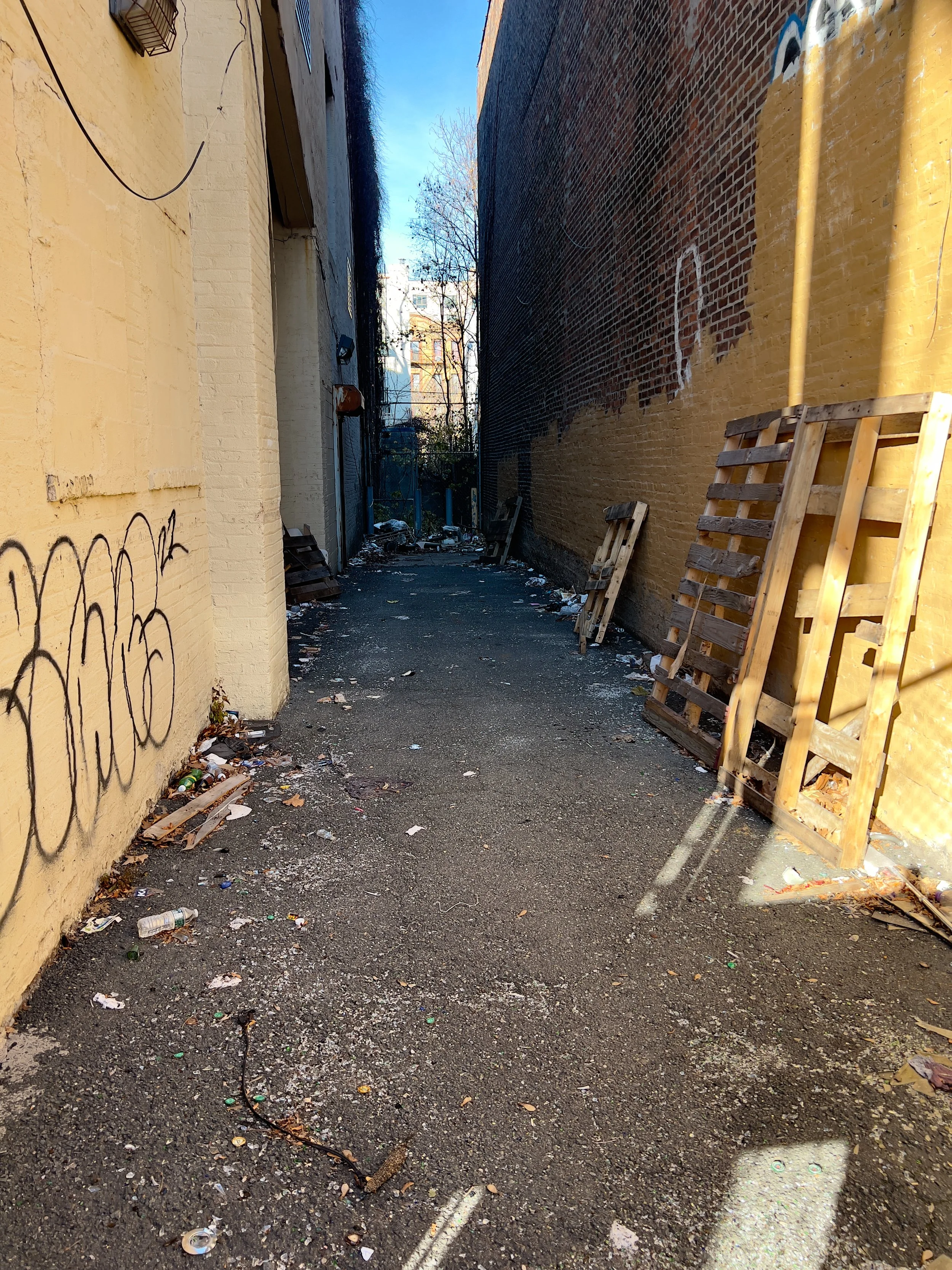 alleyreal.jpeg