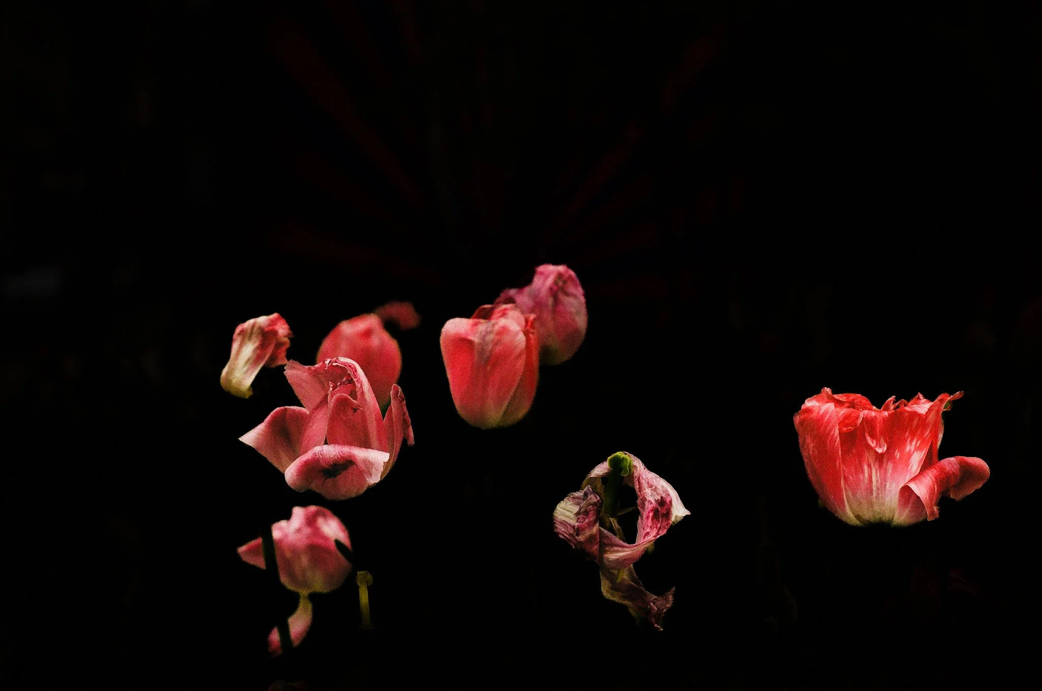flower-relief-insta.jpg