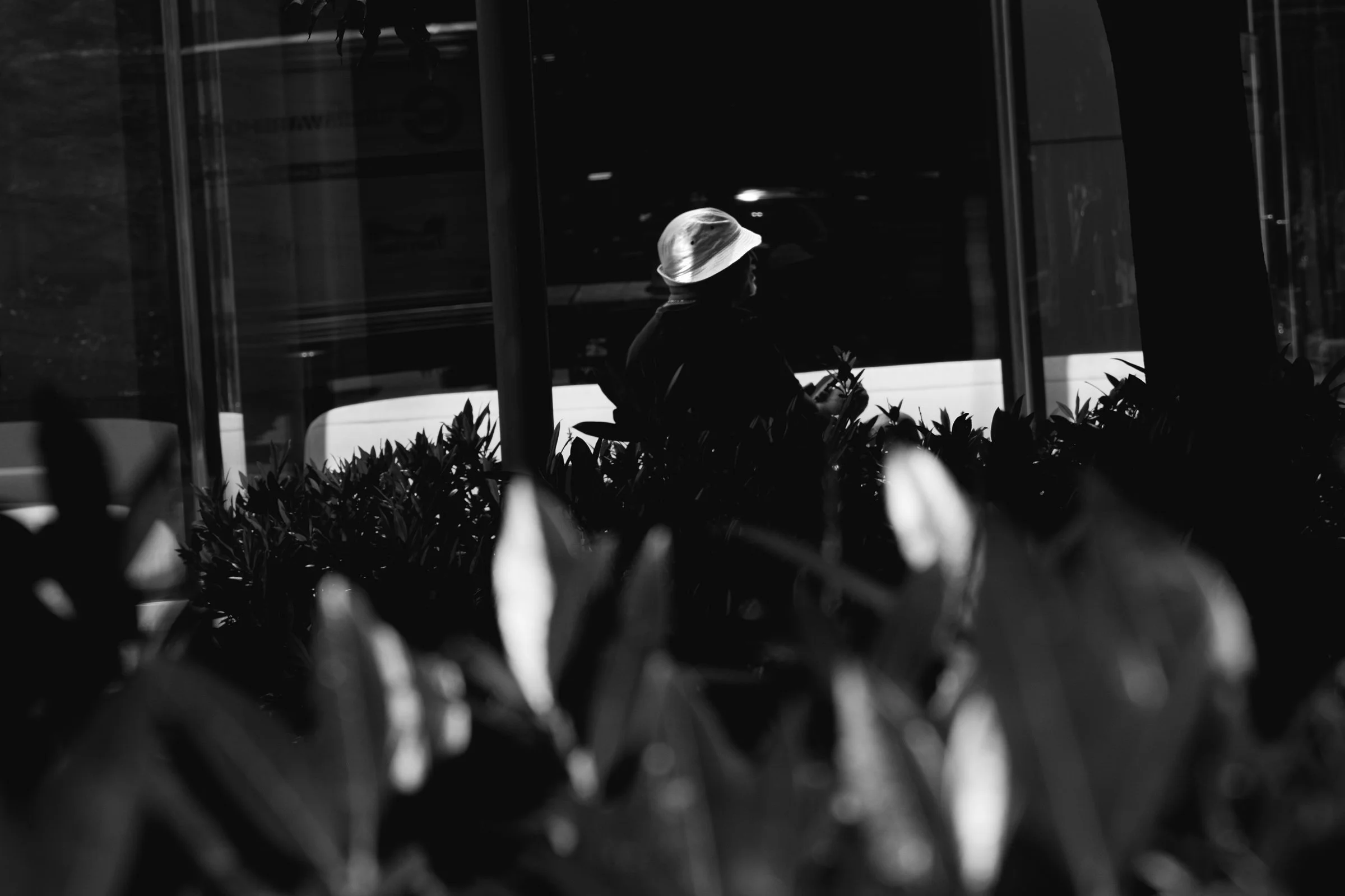 hatgreenbushb+w.jpg