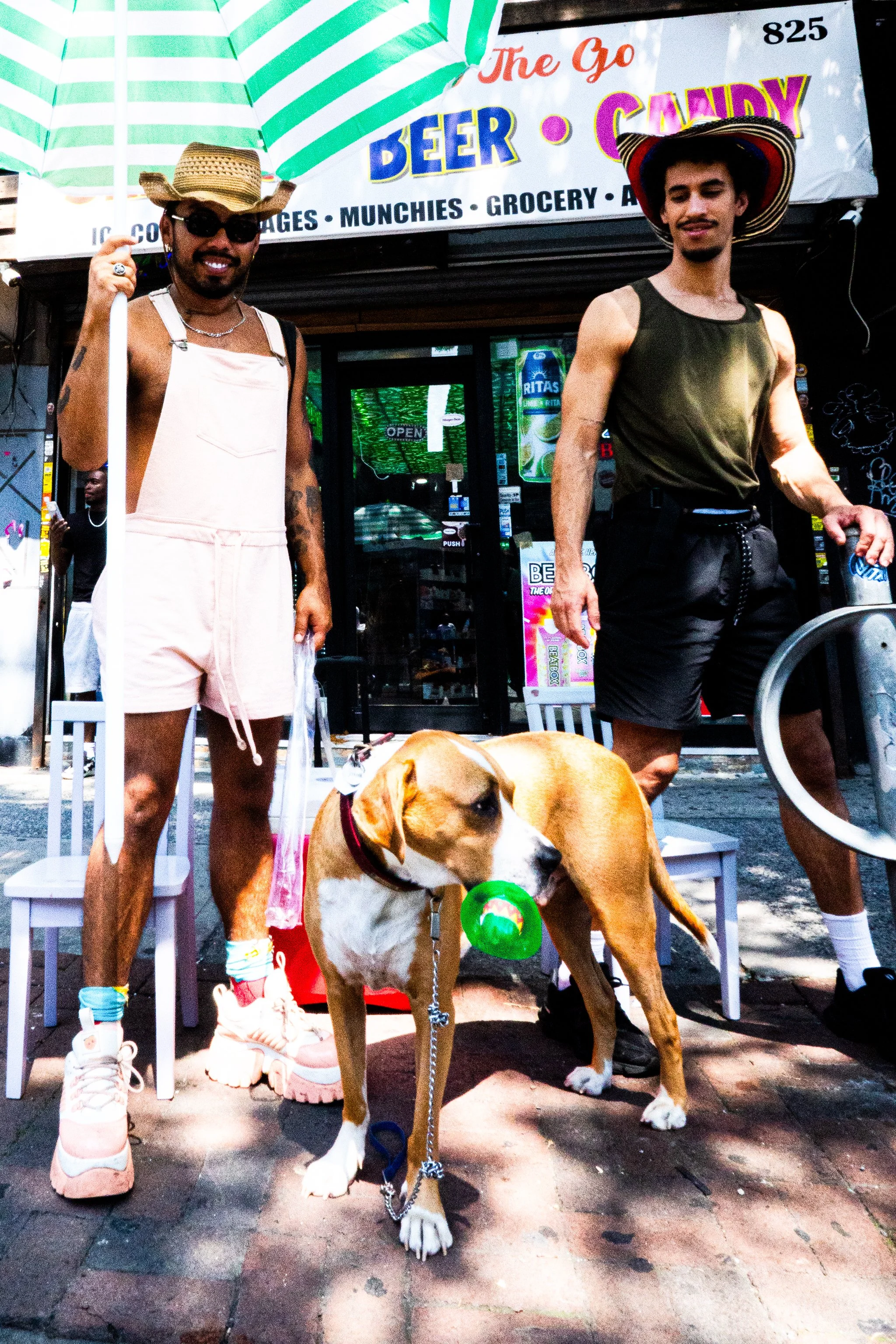 doghat4b.jpg