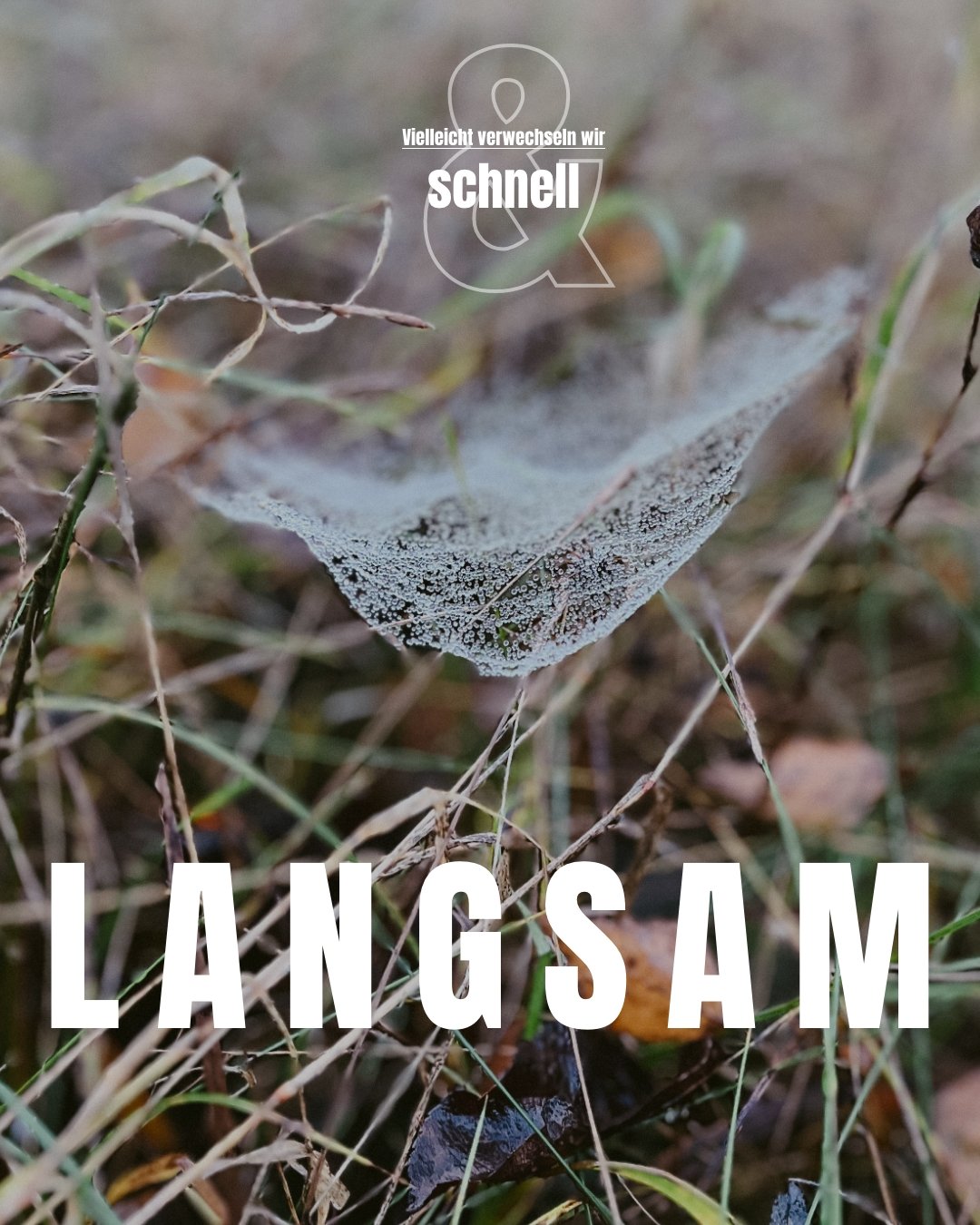 KLEINE und LANGSAME LÖSUNGEN