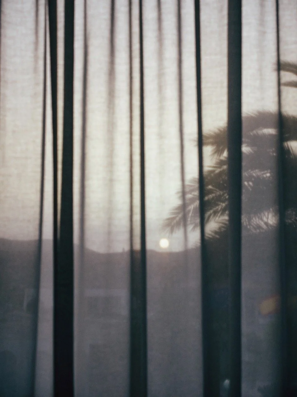 Blick durch einen Vorhang mit Sicht auf eine Palme und die untergehende Sonne im Hintergrund.