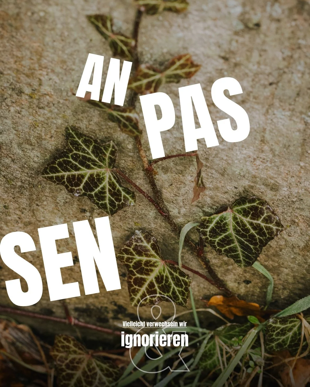 SELBSTREGULATION und FEEDBACK