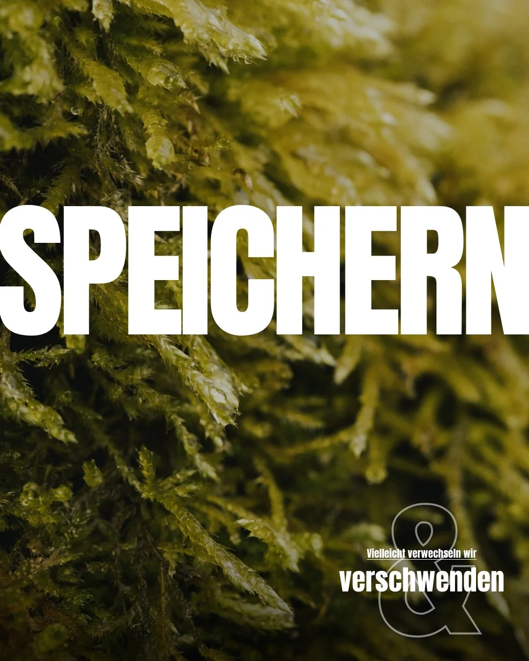 ENERGIE SAMMELN und SPEICHERN