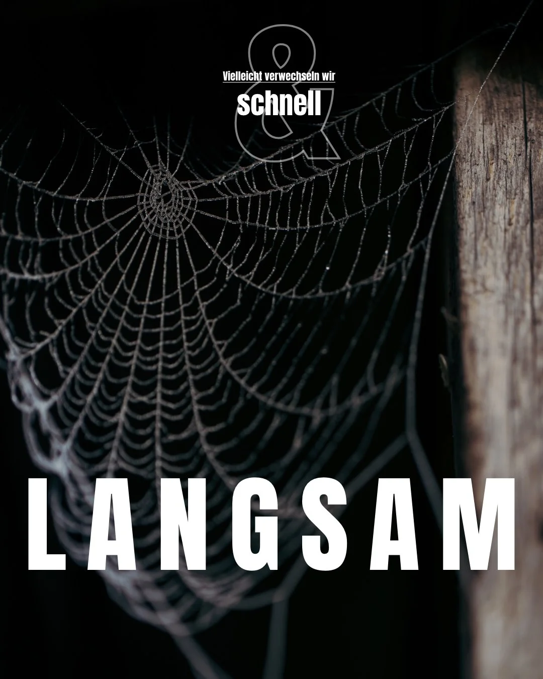 KLEINE und LANGSAME LÖSUNGEN