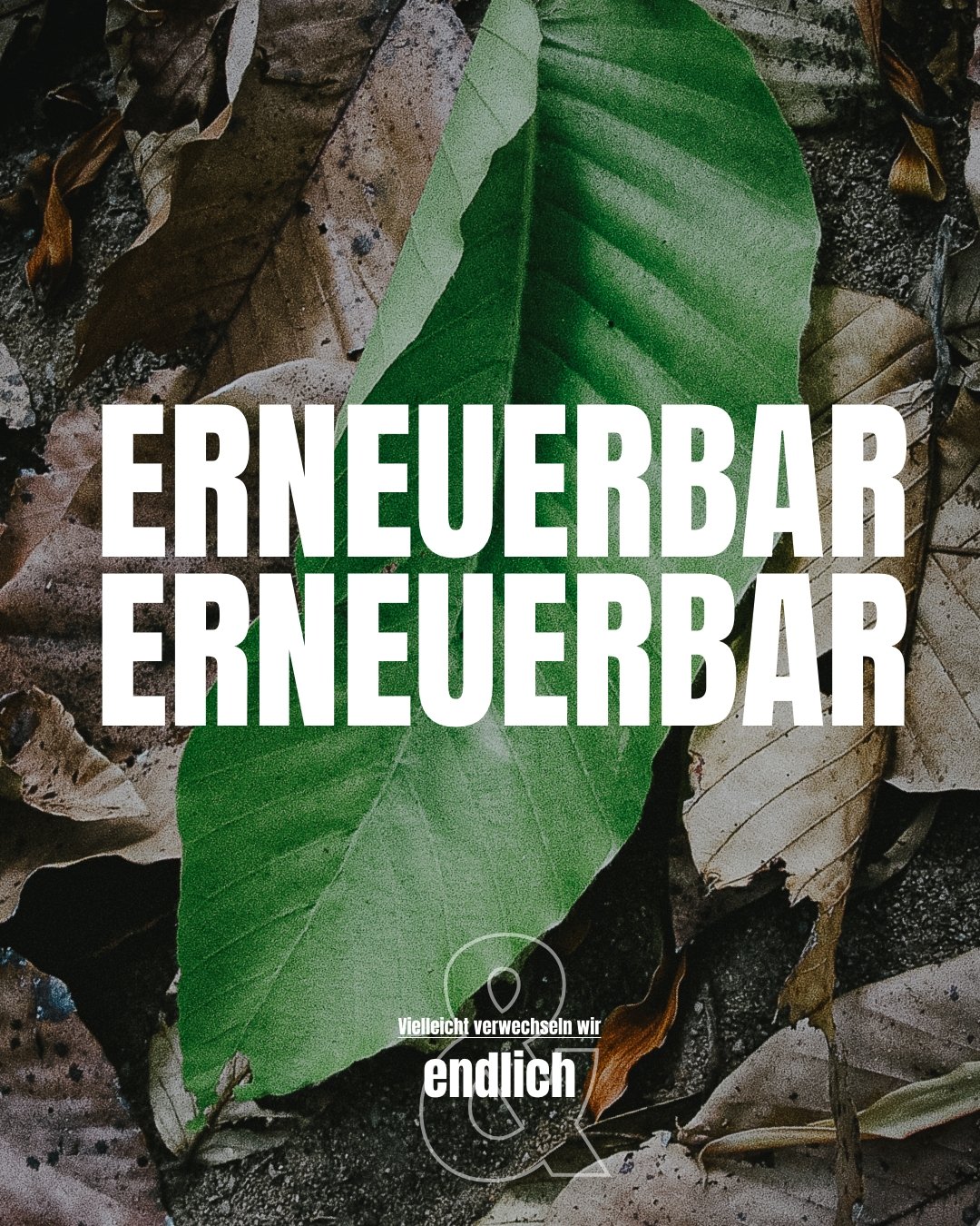 ERNEUERBARE RESSOURCEN NUTZEN