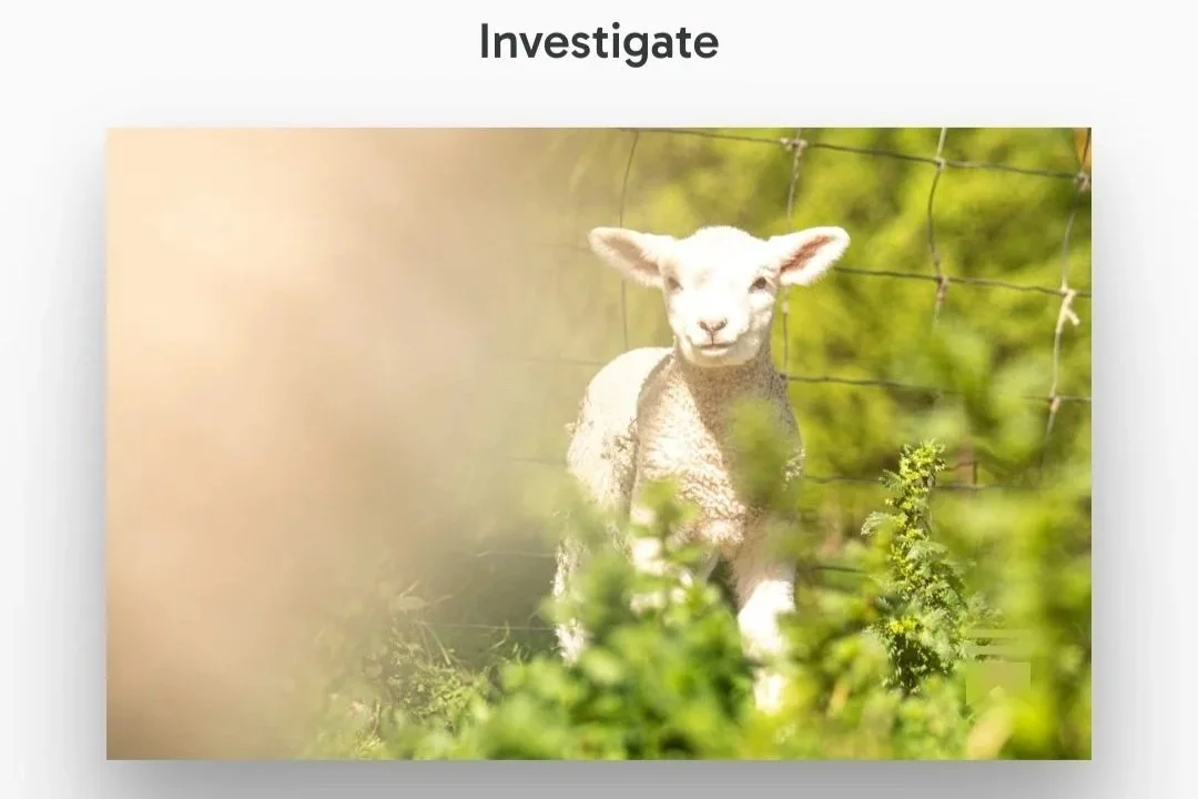 Investigate