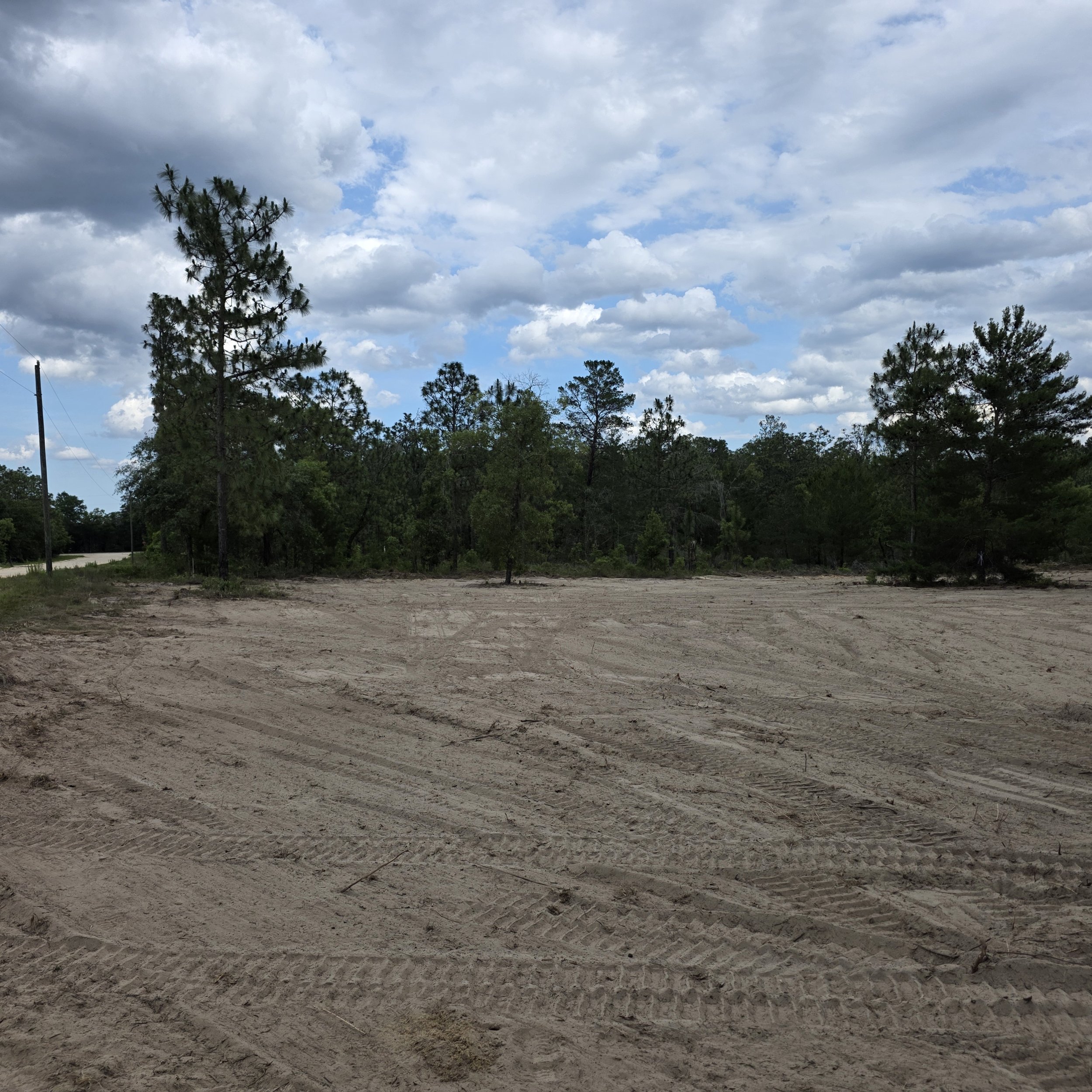 Hawthorne, FL Root Raking Service — Deep cleanup completed after land clearing to remove roots, stumps, and underground obstacles.