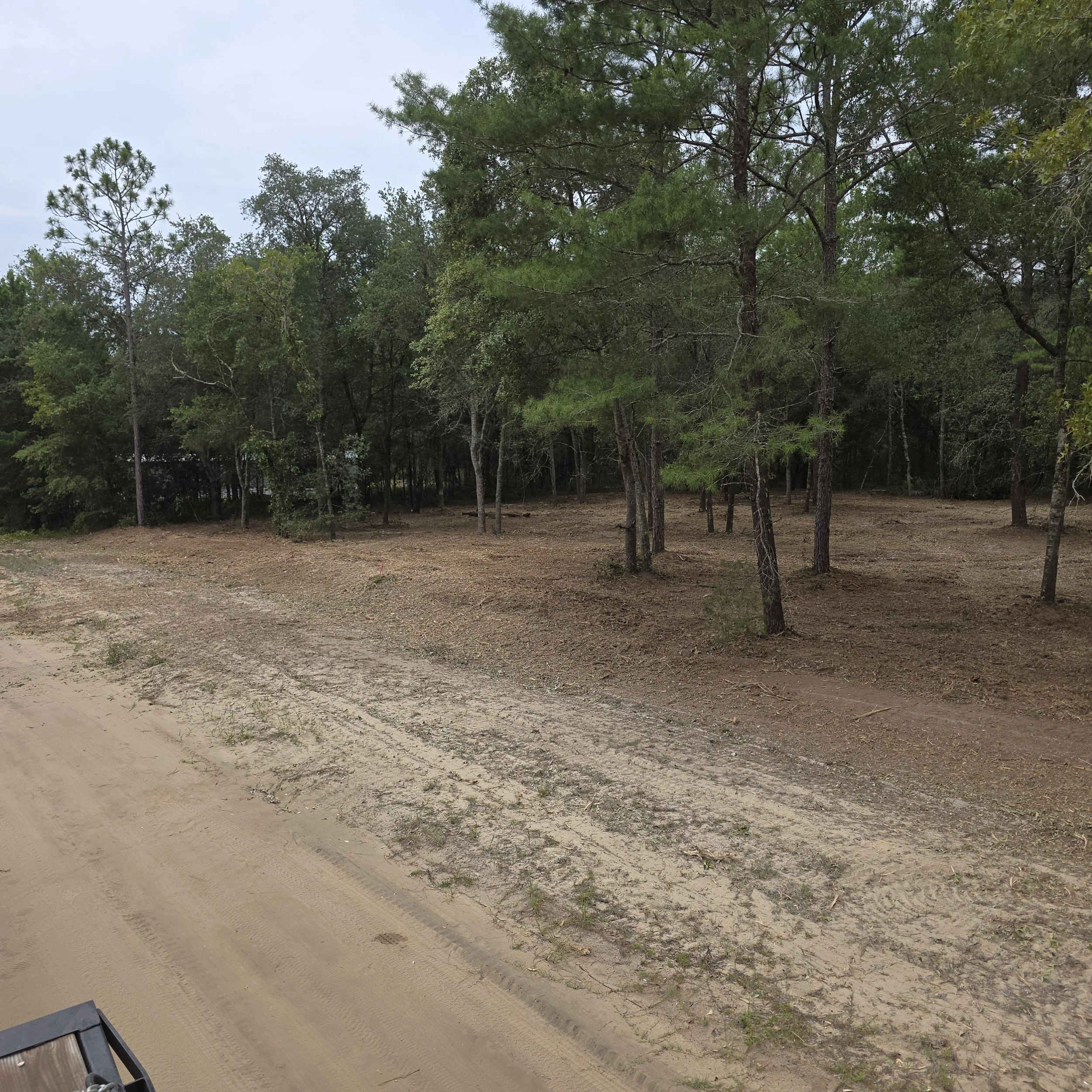 Open wooded property after forestry mulching across three adjoining Interlachen lots