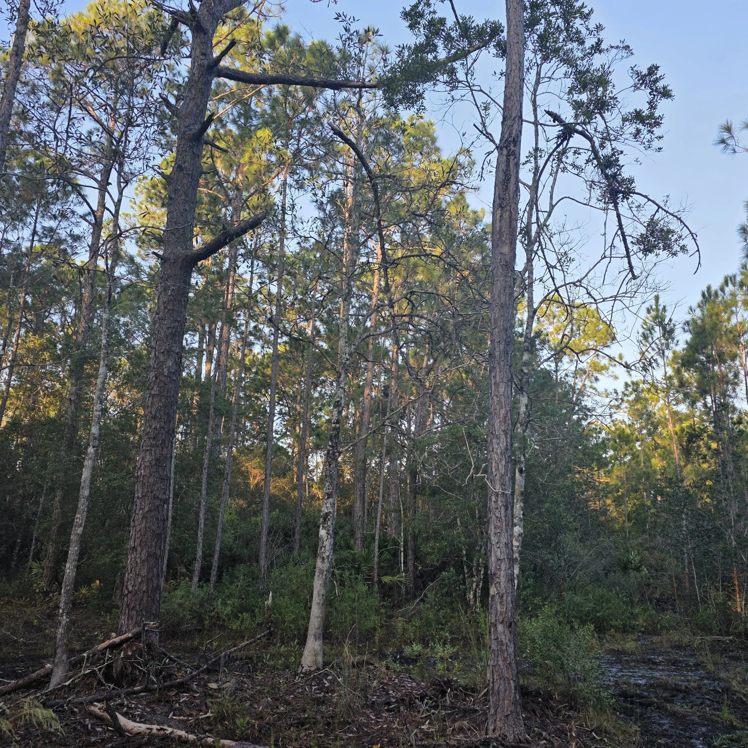 20251023_081032.jpg