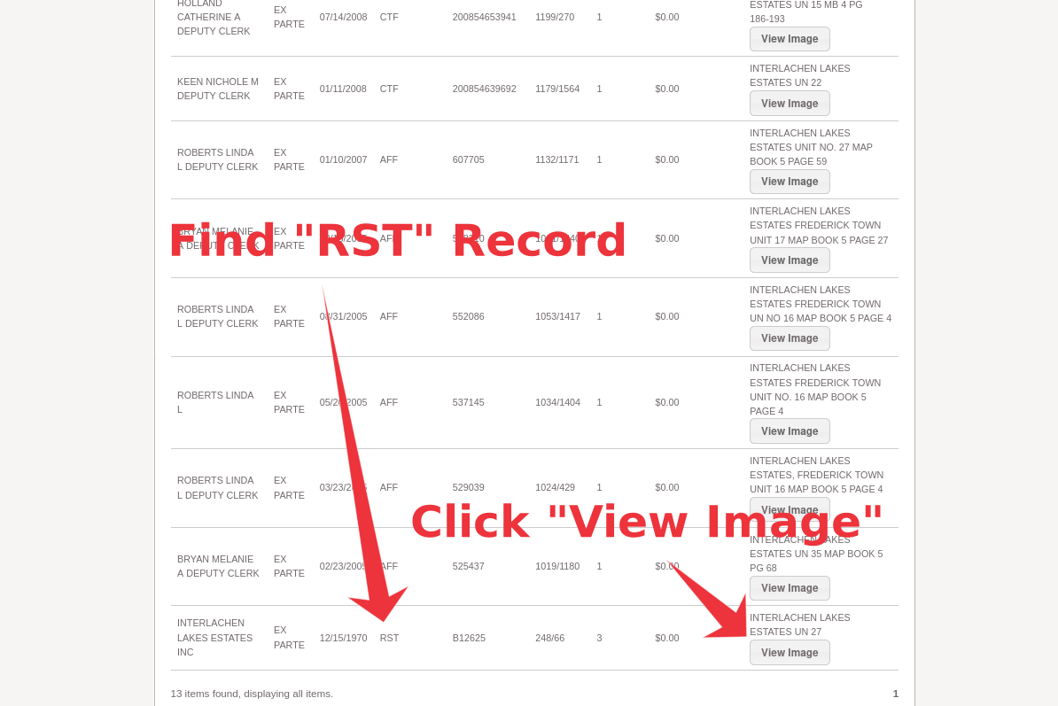 Screenshot of a spreadsheet listing estate records, with instructions in red text pointing to the last record, which includes a 'Find "RST" Record' note and a 'click "View Image"' note.