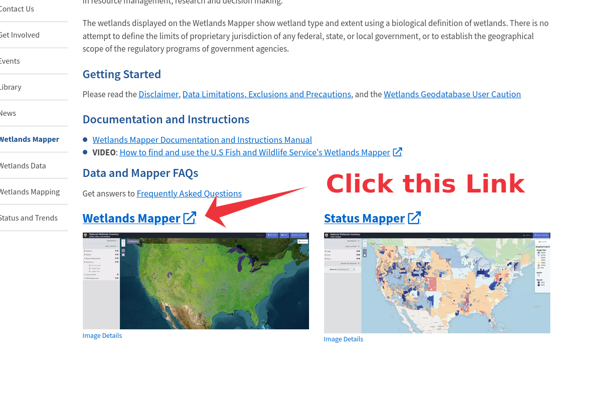 Screenshot of a webpage showing links to Wetlands Mapper and Status Mapper with maps of wetlands in the U.S., and a red arrow pointing to the Wetlands Mapper link with the text "Click this Link."