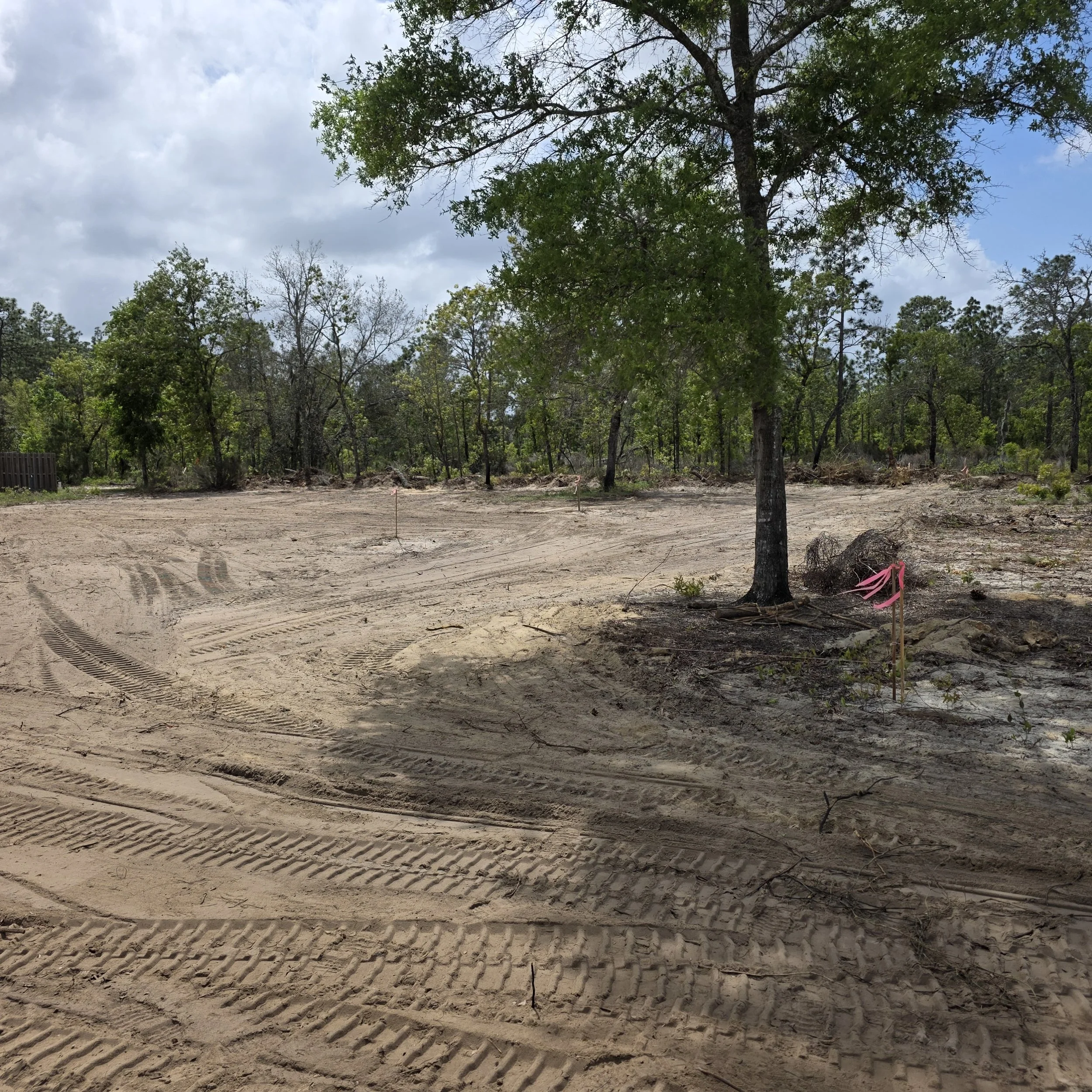 Surveyed house-pad area with more than one foot of elevation change across the Hawthorne site