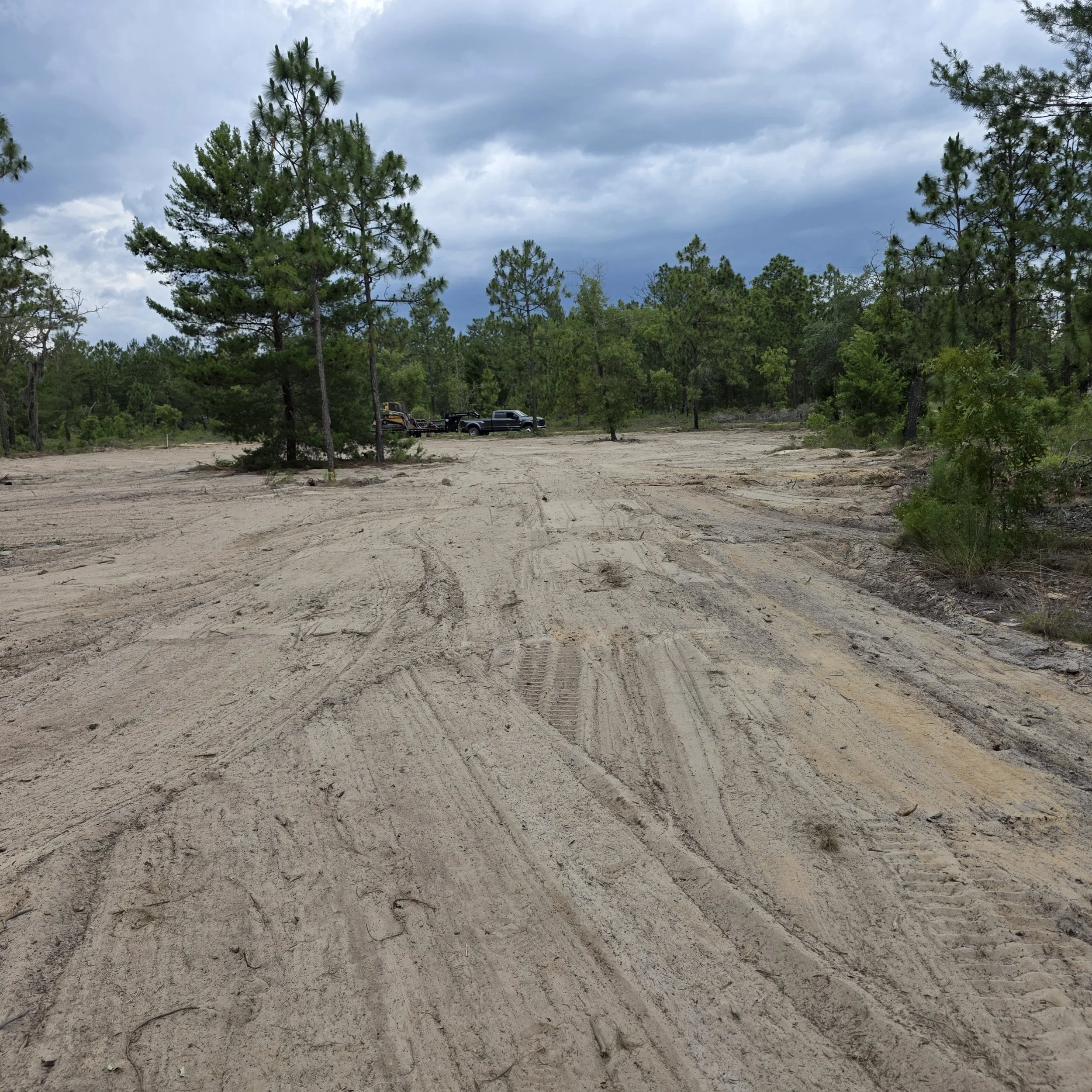 Root Raking Project Near Hawthorne, FL — Vegetation, roots, and buried debris removed to prepare this property for future development.